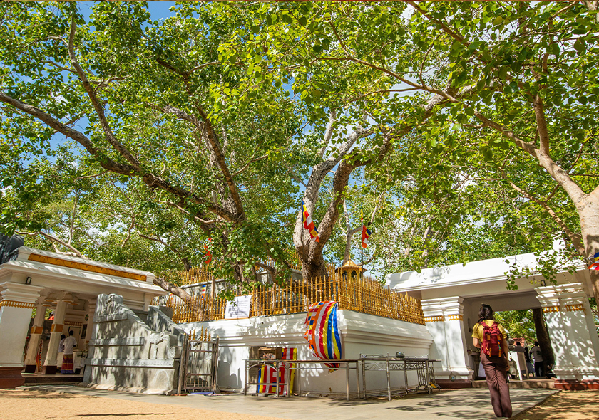 Anuradhapura