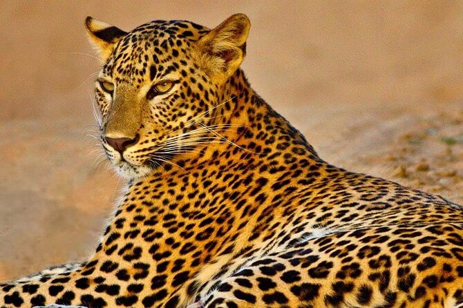 Kumana National Park
