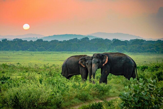 Udawalawe National Park